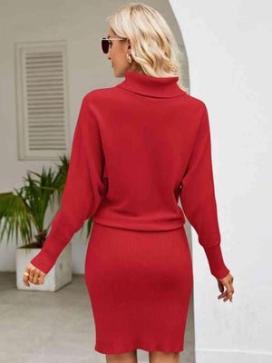 Autumn Flair Turtleneck Sweater Dress - MXSTUDIO.COM