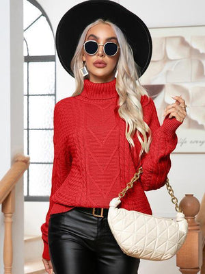 Ritzy Cable-Knit Turtleneck Pullover Sweater - MXSTUDIO.COM