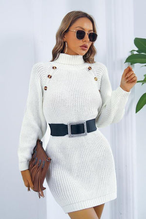 Sassy Warmth Knitted Turtleneck Sweater Dress-MXSTUDIO.COM