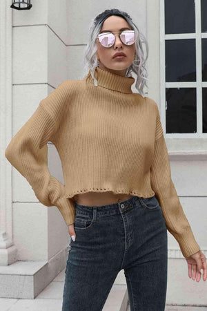 Unfazed By Cold Cropped Turtleneck Sweater - MXSTUDIO.COM