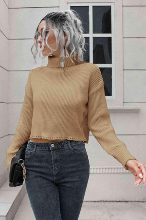 Unfazed By Cold Cropped Turtleneck Sweater - MXSTUDIO.COM