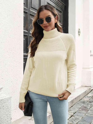 Winter Chic Raglan Sleeve Turtleneck Sweater - MXSTUDIO.COM