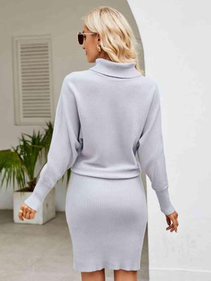 Autumn Flair Turtleneck Sweater Dress - MXSTUDIO.COM