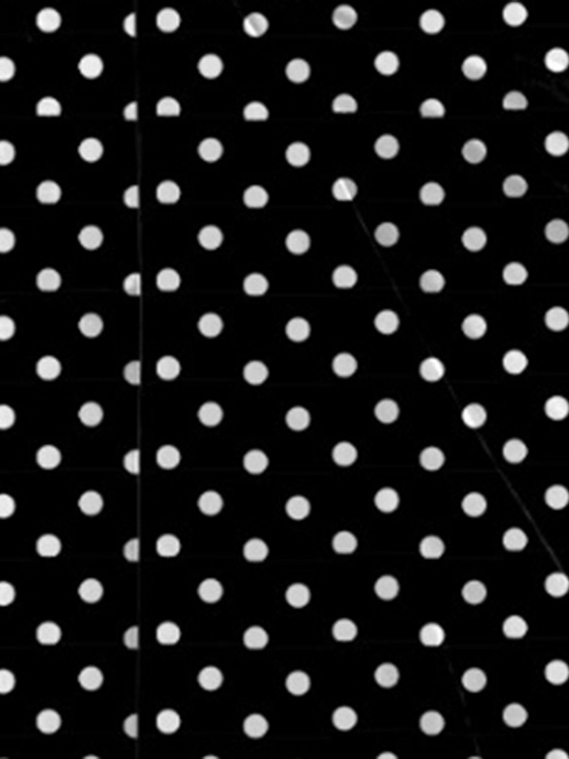 a black and white photo with white polka dots
