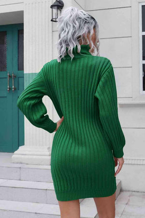 Cozy Deluxe Ribbed Turtleneck Sweater Dress - MXSTUDIO.COM