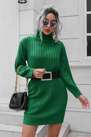 Cozy Deluxe Ribbed Turtleneck Sweater Dress - MXSTUDIO.COM