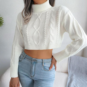 Dainty Knit Turtleneck Cropped Sweater - MXSTUDIO.COM