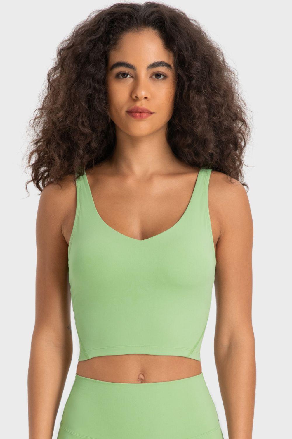 Deep Impact V- Neck Crop Athletic Bra - MXSTUDIO.COM