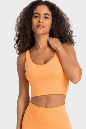 Deep Impact V- Neck Crop Athletic Bra - MXSTUDIO.COM