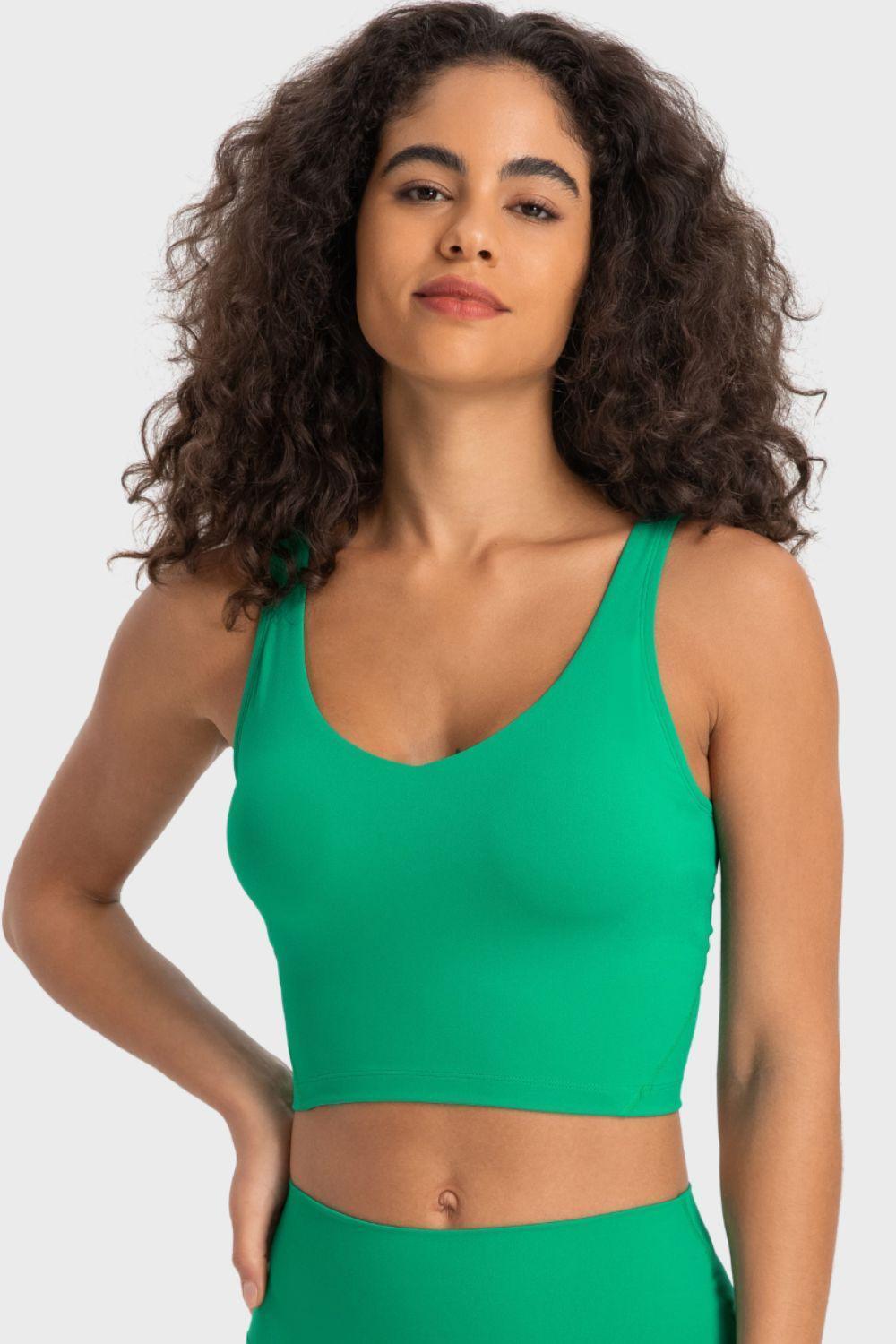 Deep Impact V- Neck Crop Athletic Bra - MXSTUDIO.COM