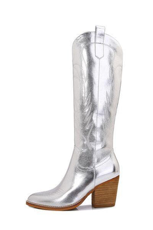 a pair of silver cowboy boots on a white background