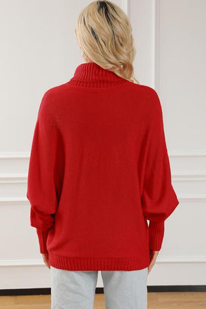 Merry Embroidered Knit Turtleneck Sweater-MXSTUDIO.COM