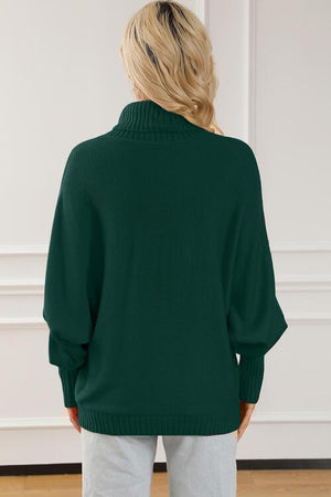 Merry Embroidered Knit Turtleneck Sweater-MXSTUDIO.COM