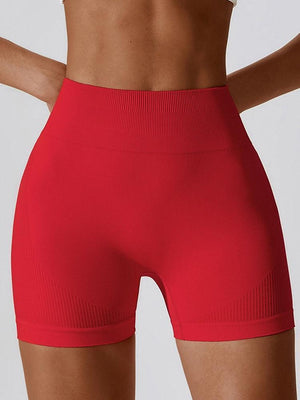 Physically Fit Spandex Sports Yoga Shorts - MXSTUDIO.COM