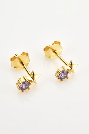 Round Zircon Accent Gold Plated Star Stud Earrings - MXSTUDIO.COM