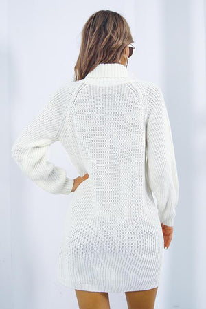 Sassy Warmth Knitted Turtleneck Sweater Dress-MXSTUDIO.COM