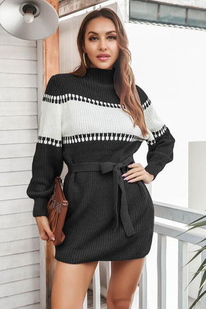 Toasty Chic Long Sleeve Knit Mock Neck Sweater Dress-MXSTUDIO.COM