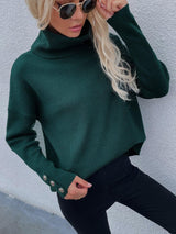 Ultra-Chic Knit Turtleneck Sweater - MXSTUDIO.COM
