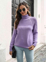 Winter Chic Raglan Sleeve Turtleneck Sweater - MXSTUDIO.COM
